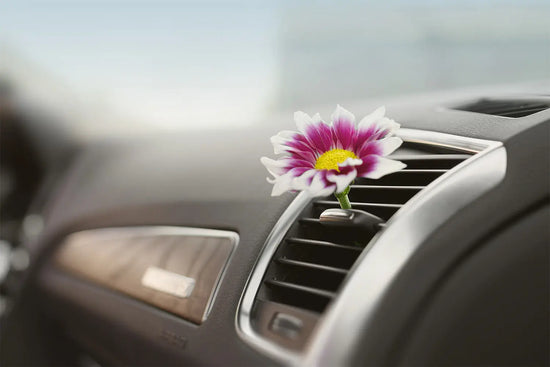  How To Clean Car Vents: Step-by-Step Guide