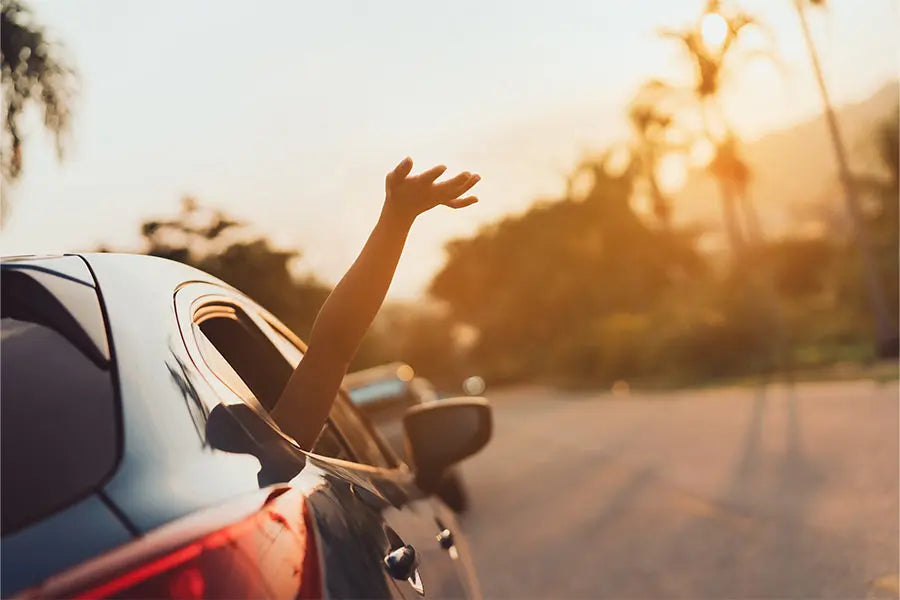 
              How To Keep Car Cool in Summer: 11 Tricks