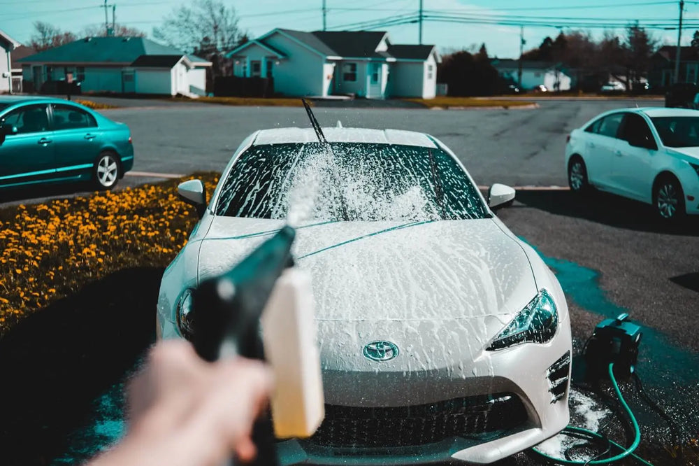 
              How To Remove Tree Sap From Your Car 
